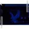 Shield and Key ID Card Hologram Overlay with UV Eagle | IDOV_517E